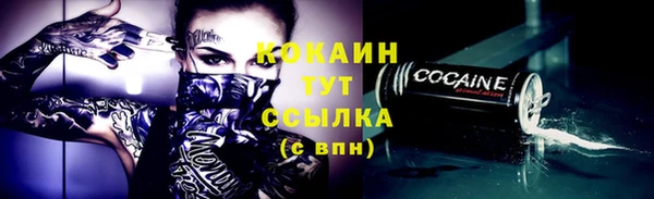 гашик Переславль-Залесский