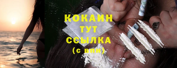 бошки Осинники
