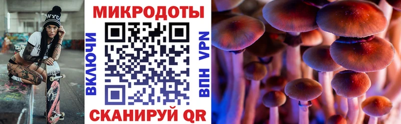 Галлюциногенные грибы Psilocybine cubensis  Ревда 
