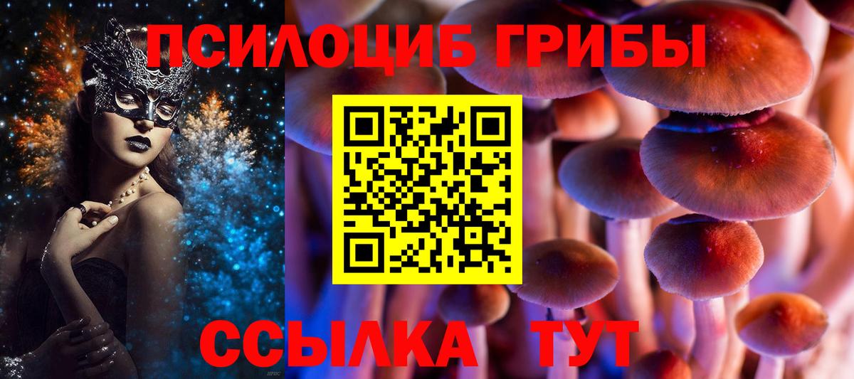 Ревда  Галлюциногенные грибы прущие грибы  Вход с VPN 