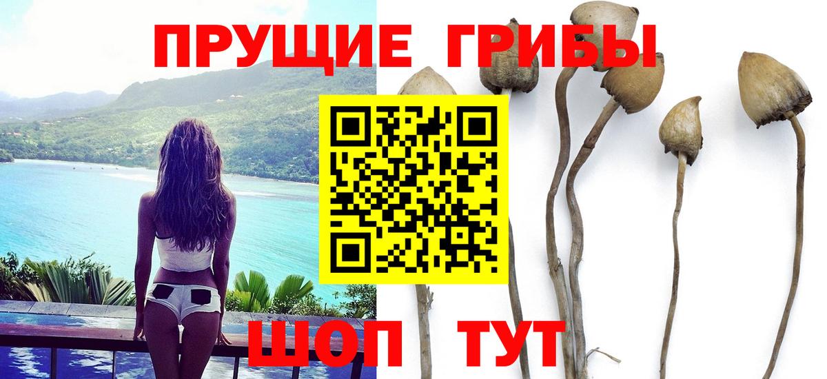 Галлюциногенные грибы MAGIC MUSHROOMS Ревда